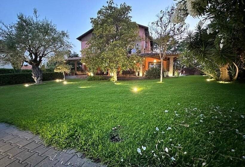 Ottomood B&b And Apartments