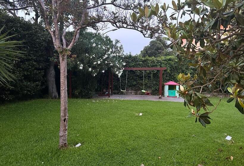 Ottomood B&b And Apartments