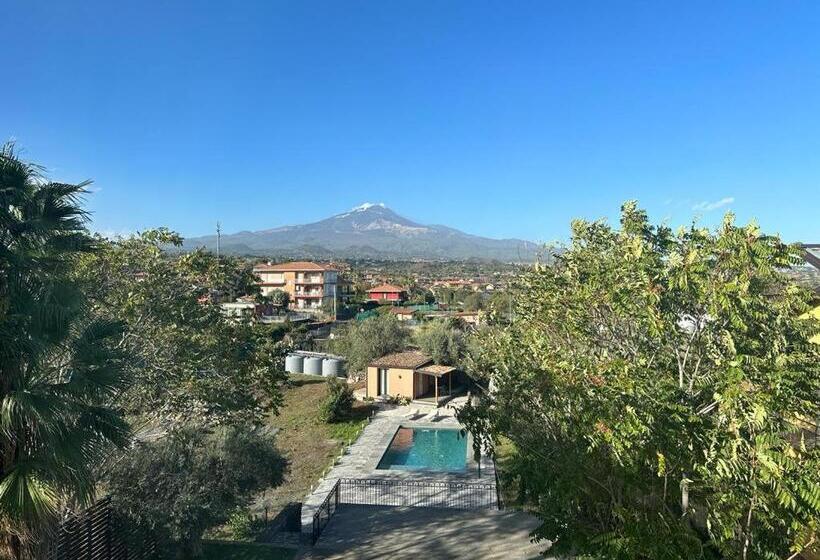 Ottomood B&b And Apartments