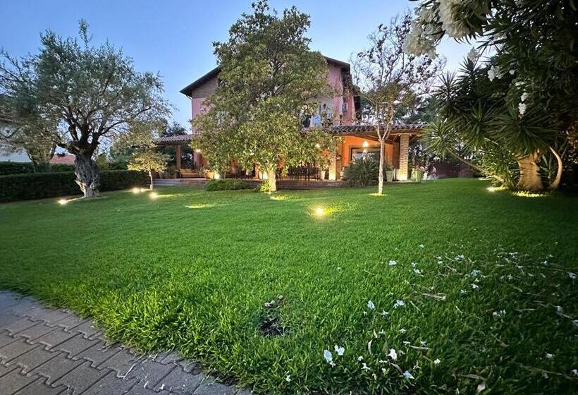 Ottomood B&b And Apartments