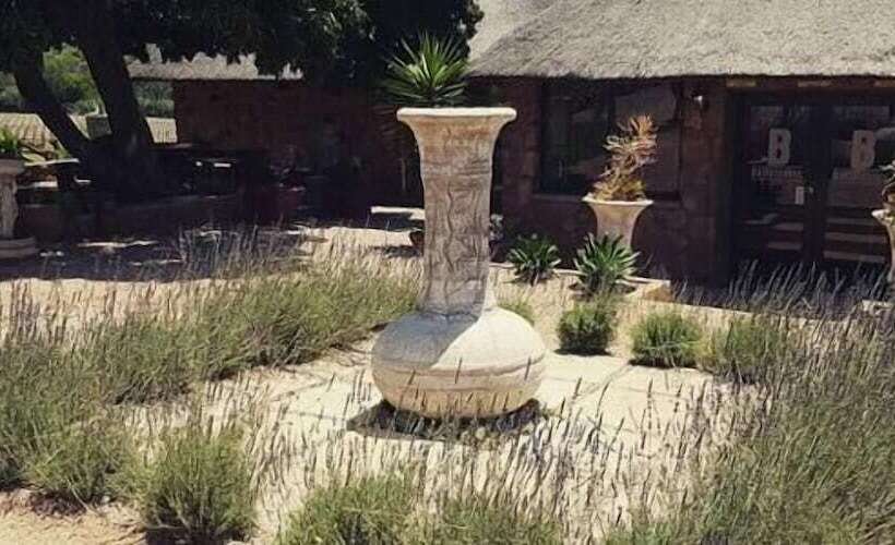 ペンション Buffelsvley Guest Farm And Klipskuur Wedding Venue