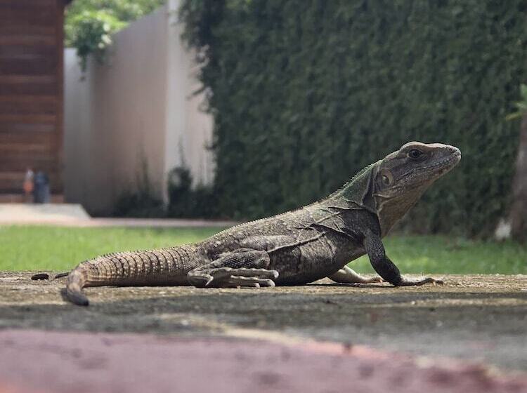 펜션 Los Fundadores Estancia Ecológica