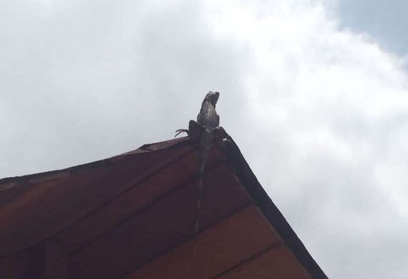 펜션 Los Fundadores Estancia Ecológica