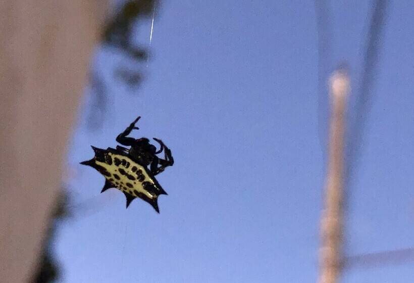 펜션 Los Fundadores Estancia Ecológica