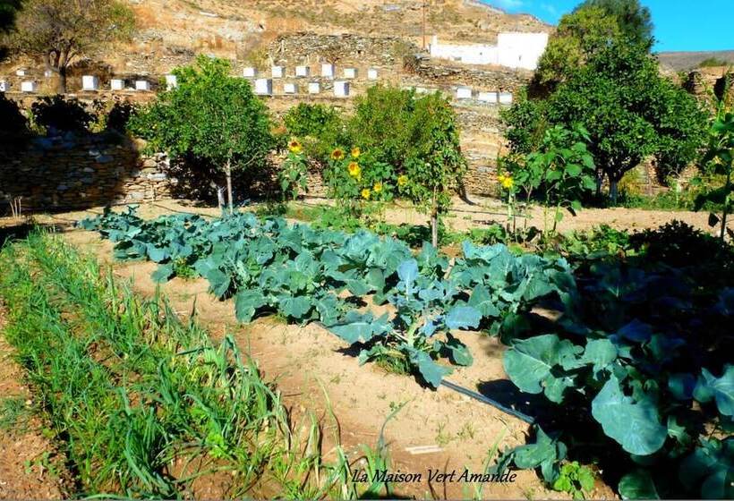 פנסיון La Maison Vert Amande