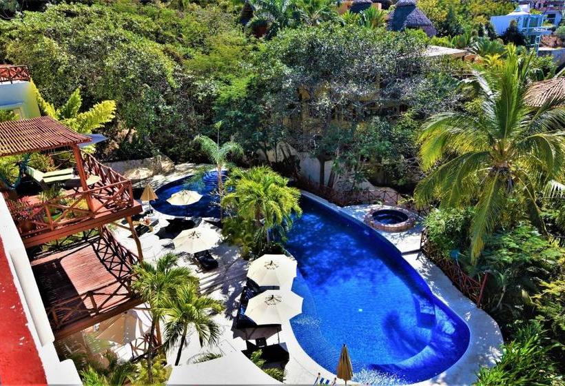 ペンション The Phoenix Sayulita