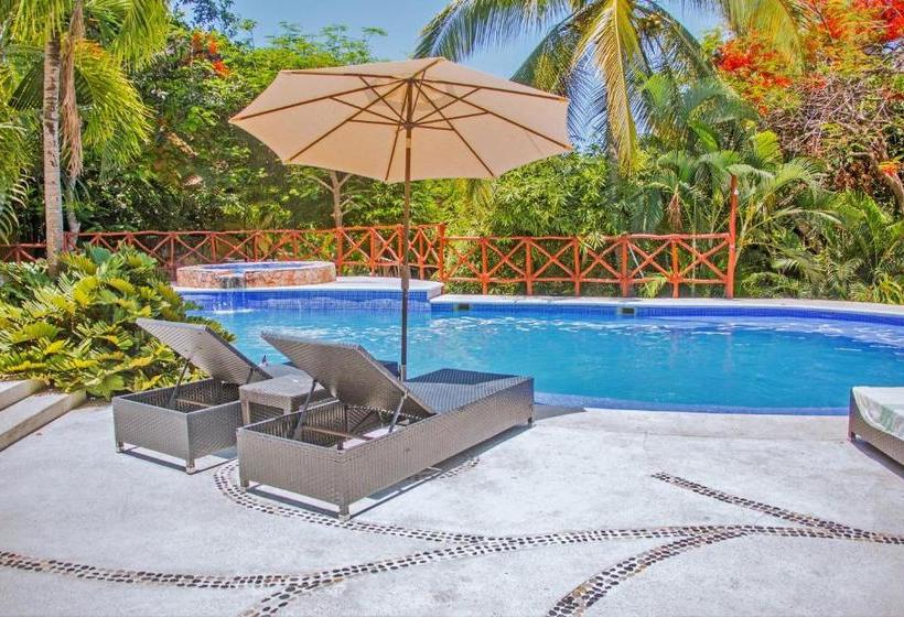 ペンション The Phoenix Sayulita