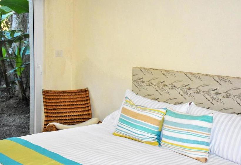 ペンション The Phoenix Sayulita