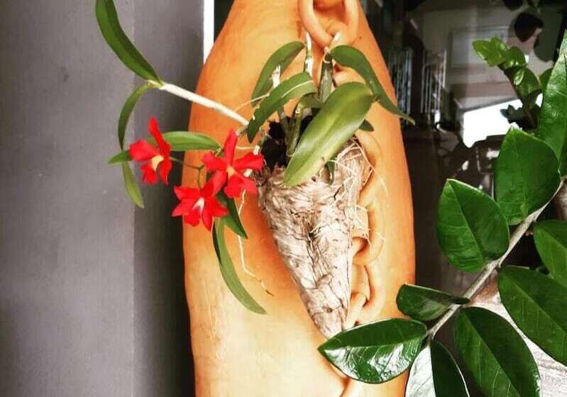 Wr Confort Hotel Campo Grande