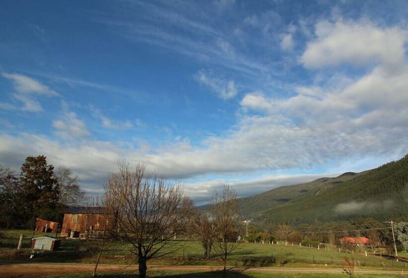 3 Bells Alpine Cottage