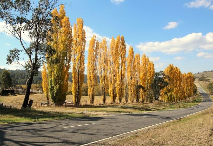 3 Bells Alpine Cottage