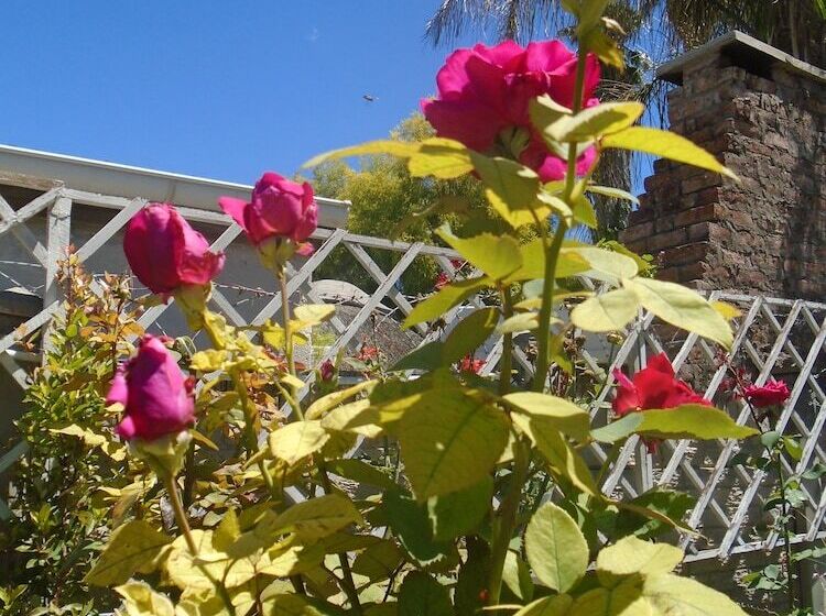 צימר Albert House Guesthouse