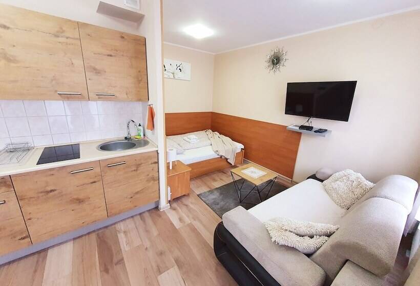 Aparthouse Apartamenty Centrum