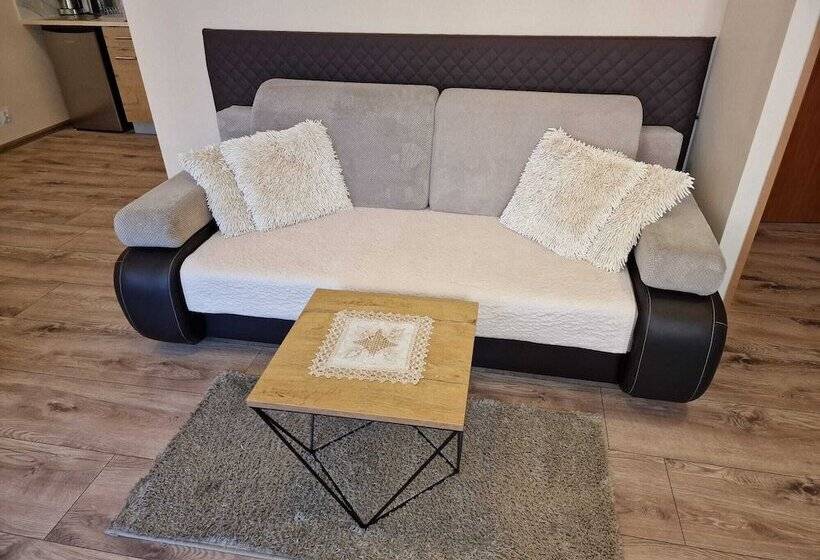 Aparthouse Apartamenty Centrum