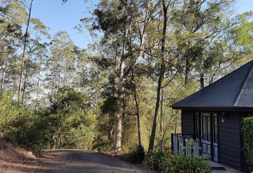 Barrington Tops Nest