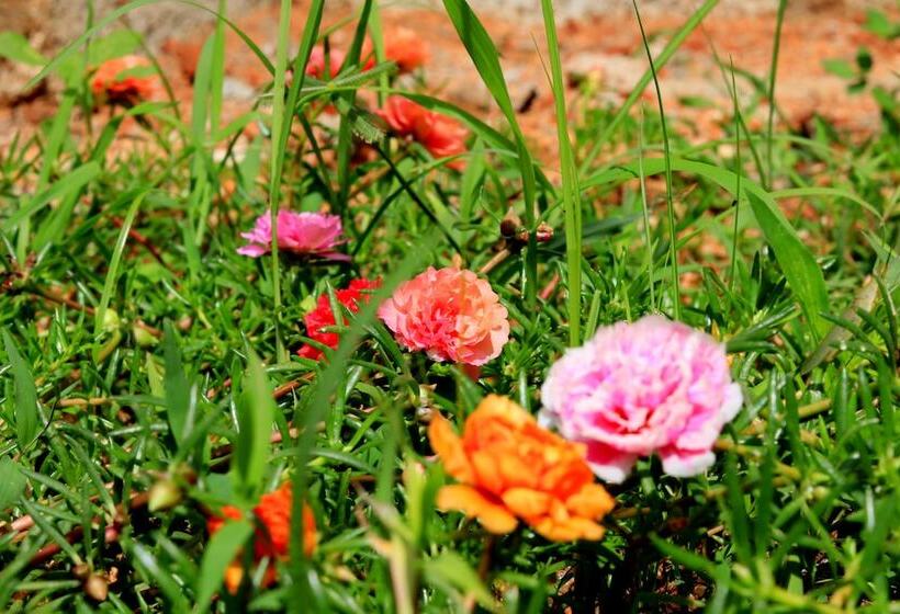 Bed and Breakfast Seasons Villa