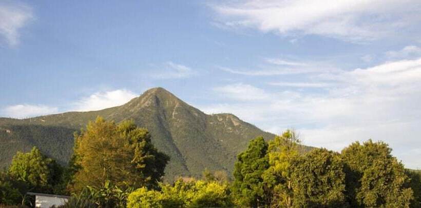 ベッドアンドブレックファースト Tsitsikamma Manor