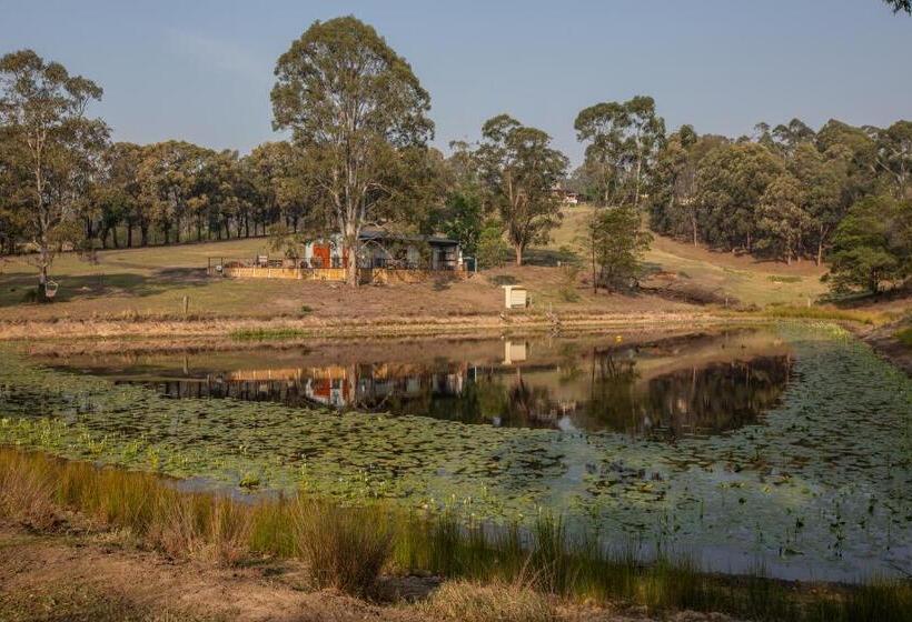 Blueberry Hills On Comleroy Farmstay   Self Contained Cottages