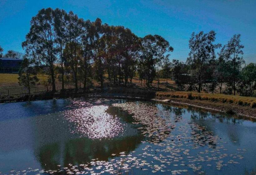 Blueberry Hills On Comleroy Farmstay   Self Contained Cottages