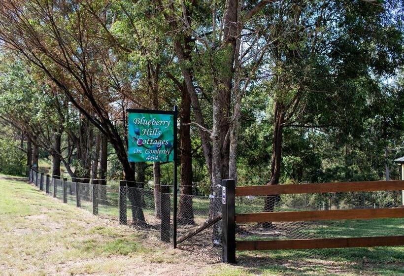 Blueberry Hills On Comleroy Farmstay   Self Contained Cottages