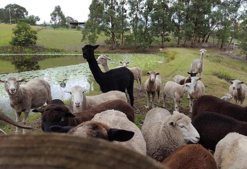 Blueberry Hills On Comleroy Farmstay   Self Contained Cottages