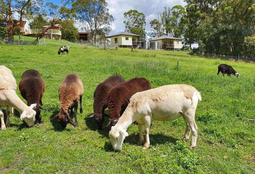 Blueberry Hills On Comleroy Farmstay   Self Contained Cottages