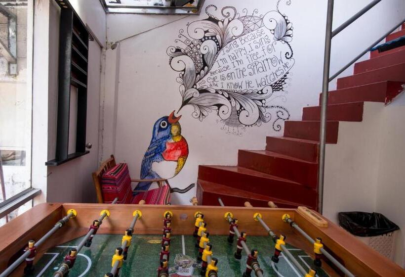 Casa Machu Picchu Hostel