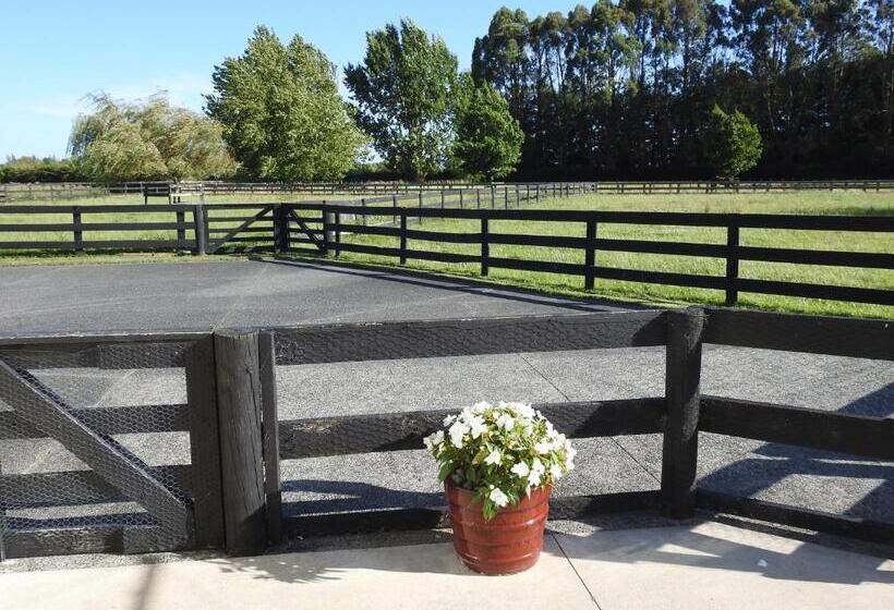 Grasslands Bed & Breakfast