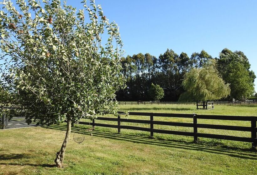 Grasslands Bed & Breakfast