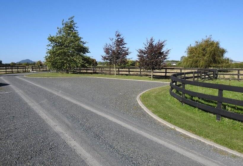 Grasslands Bed & Breakfast