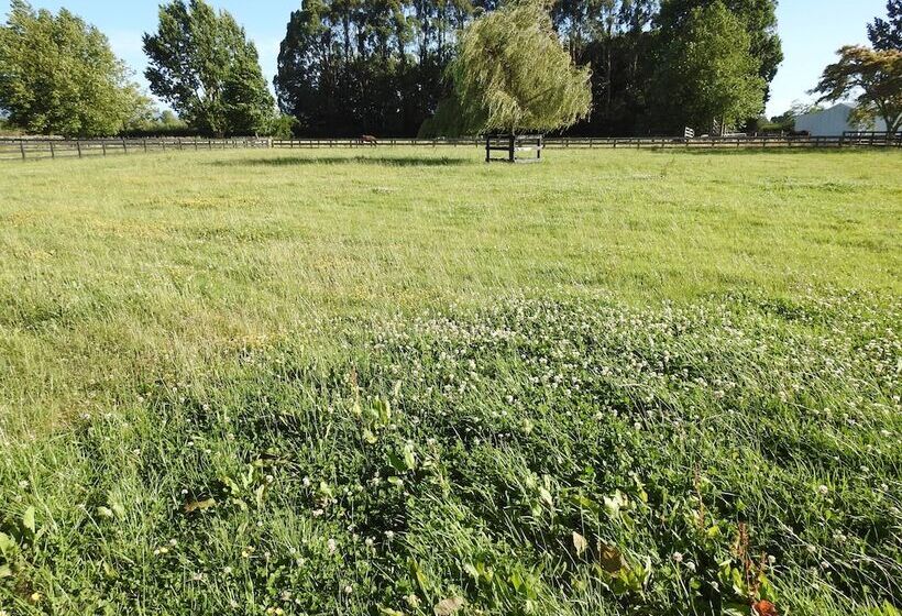 Grasslands Bed & Breakfast