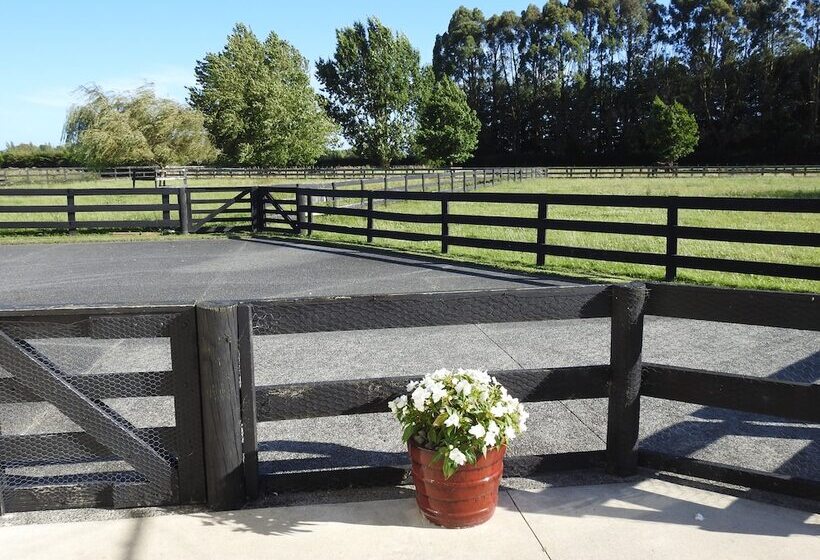 Grasslands Bed & Breakfast