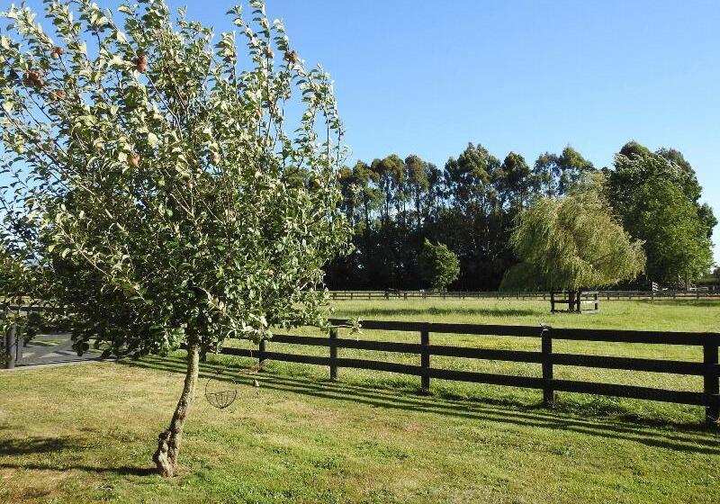 Grasslands Bed & Breakfast