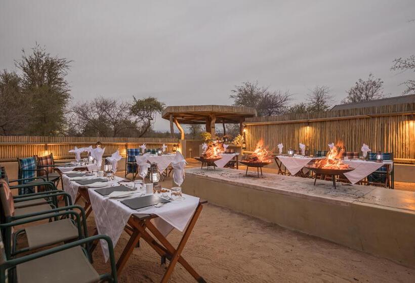 فندق Karongwe Portfolio   Becks Safari Lodge