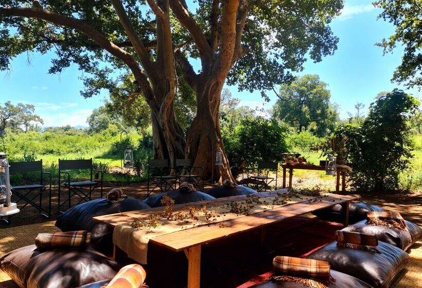 فندق Karongwe Portfolio   Becks Safari Lodge