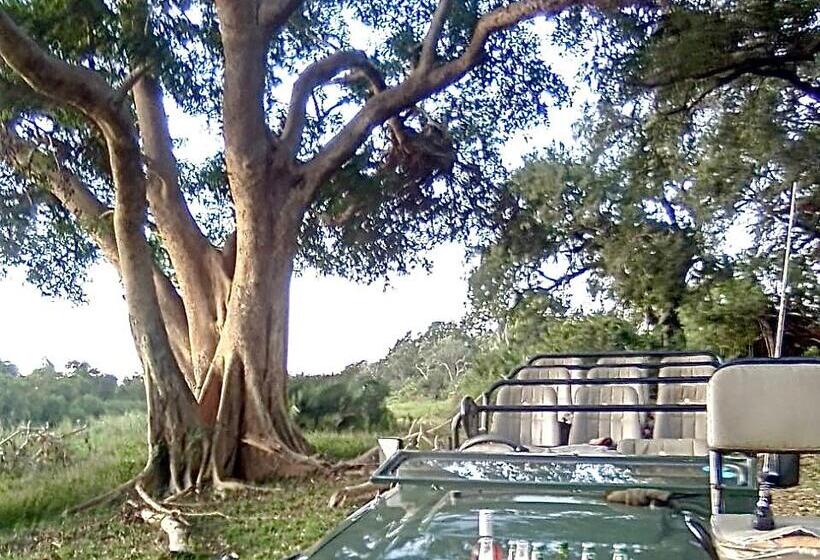 فندق Karongwe Portfolio   Becks Safari Lodge