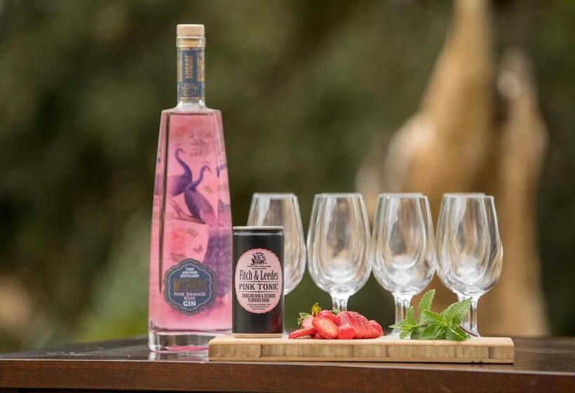 فندق Karongwe Portfolio   Becks Safari Lodge
