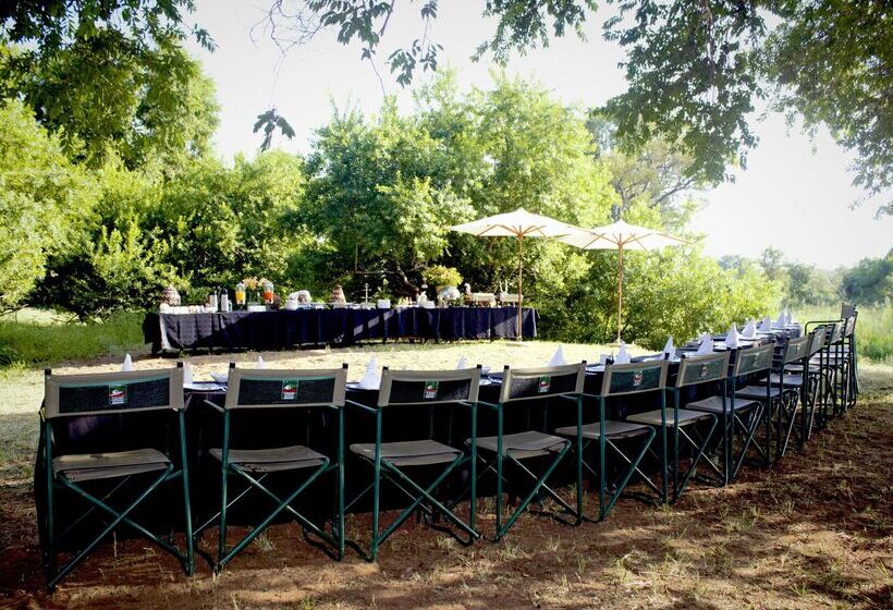 فندق Karongwe Portfolio   Becks Safari Lodge