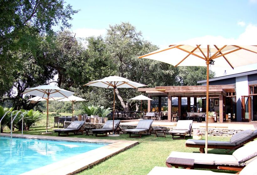 فندق Karongwe Portfolio   Becks Safari Lodge