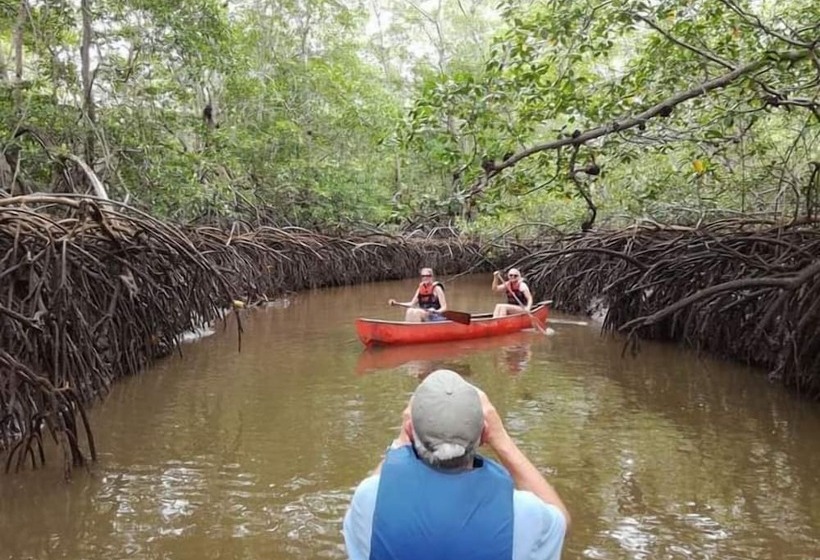 호텔 Diversion Tropical
