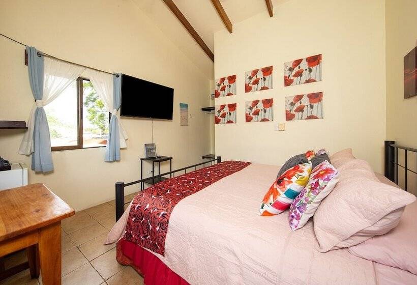 호텔 Diversion Tropical