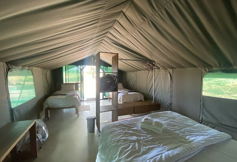 酒店 Limpopo Bushveld Retreat