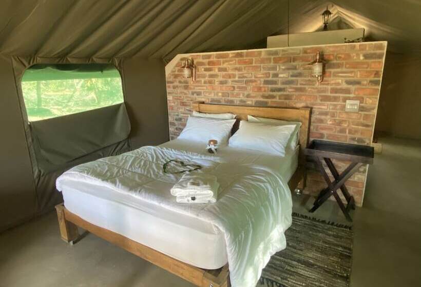ホテル Limpopo Bushveld Retreat