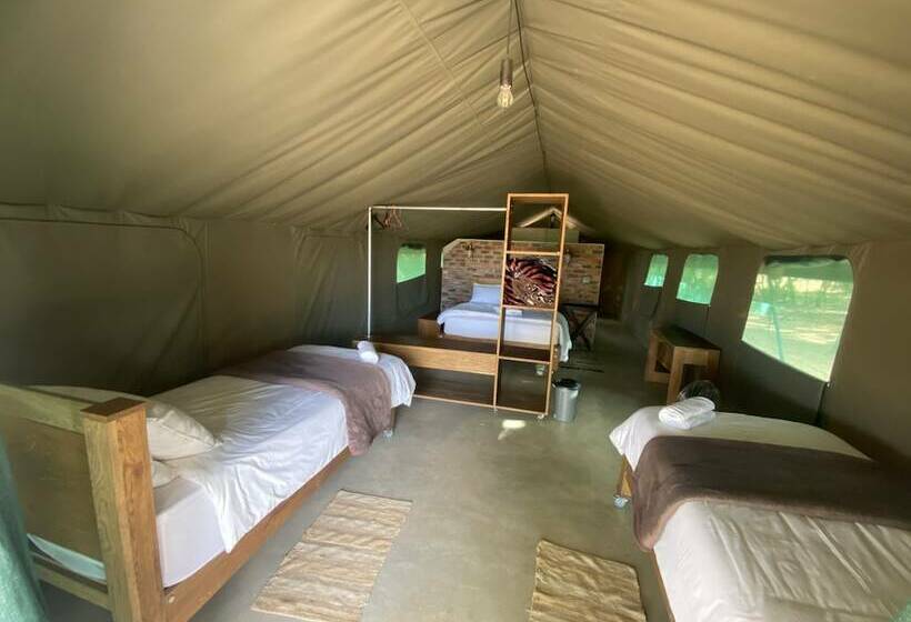 ホテル Limpopo Bushveld Retreat