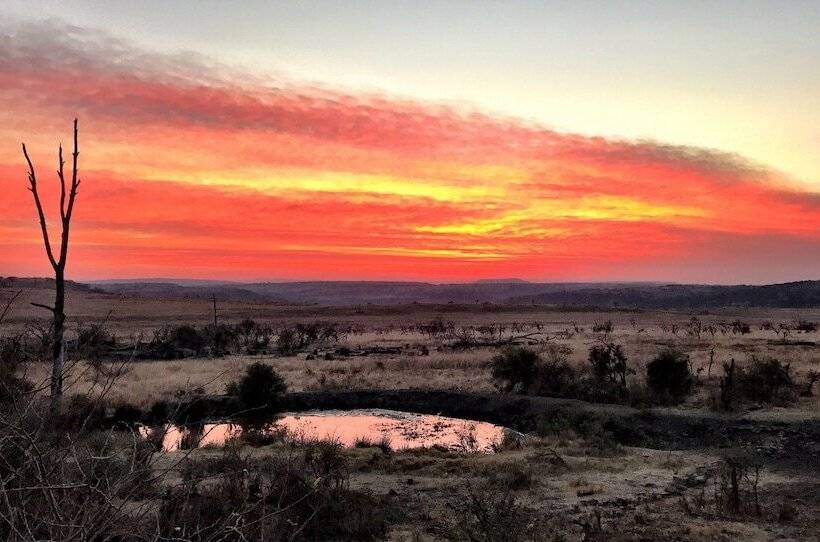 Отель Nambiti Plains Private Game Lodge