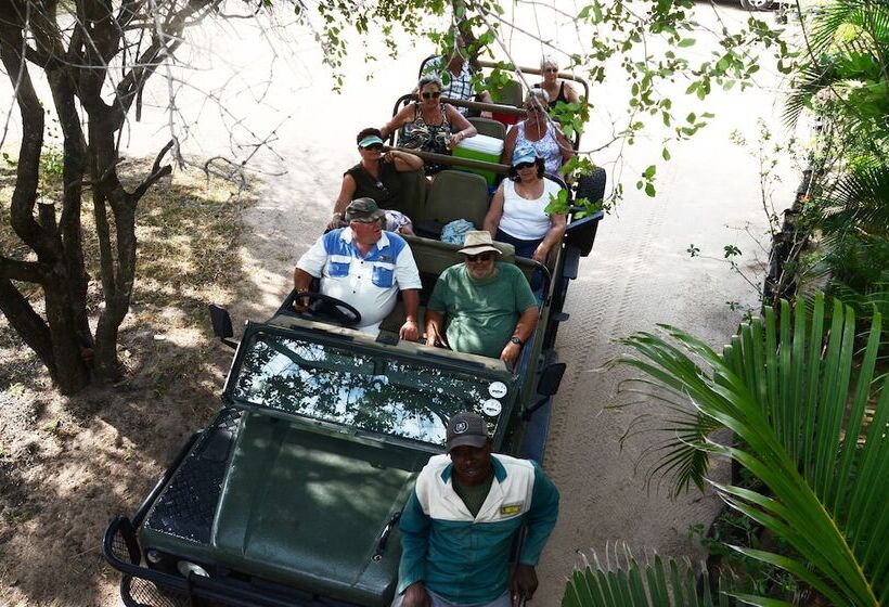 酒店 Pezulu Tree House Lodge