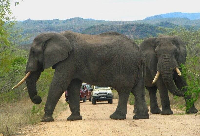 酒店 Pezulu Tree House Lodge