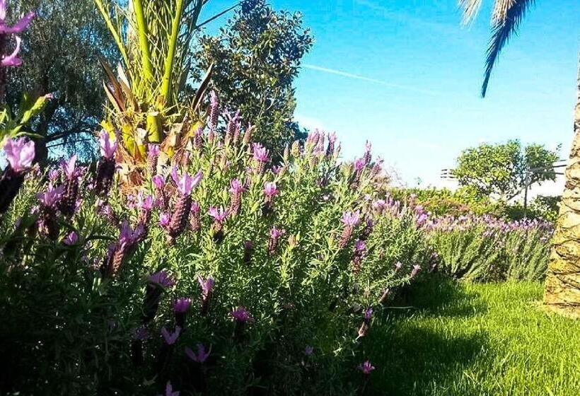 乡村酒店  Agriturismo Masseria Calongo