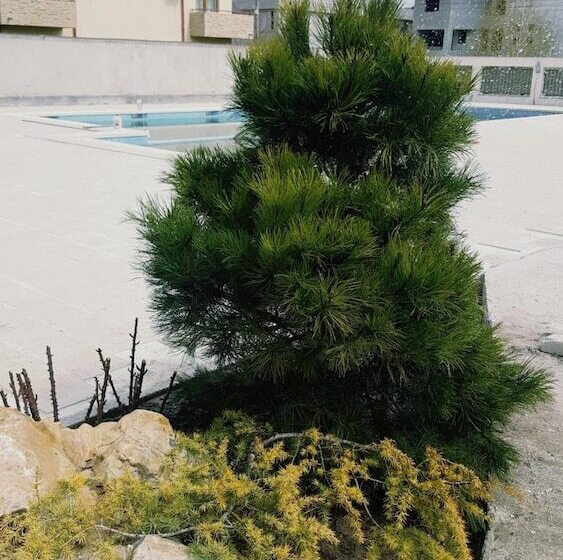 酒店 Sangria Luxury Family