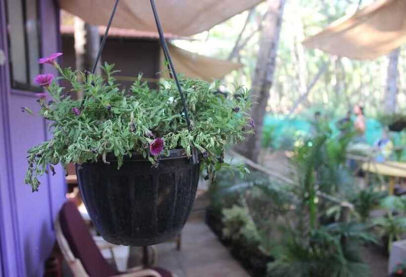 فندق Saturn Beach Cottage